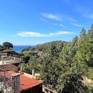 Fiorilla Casa vacanze